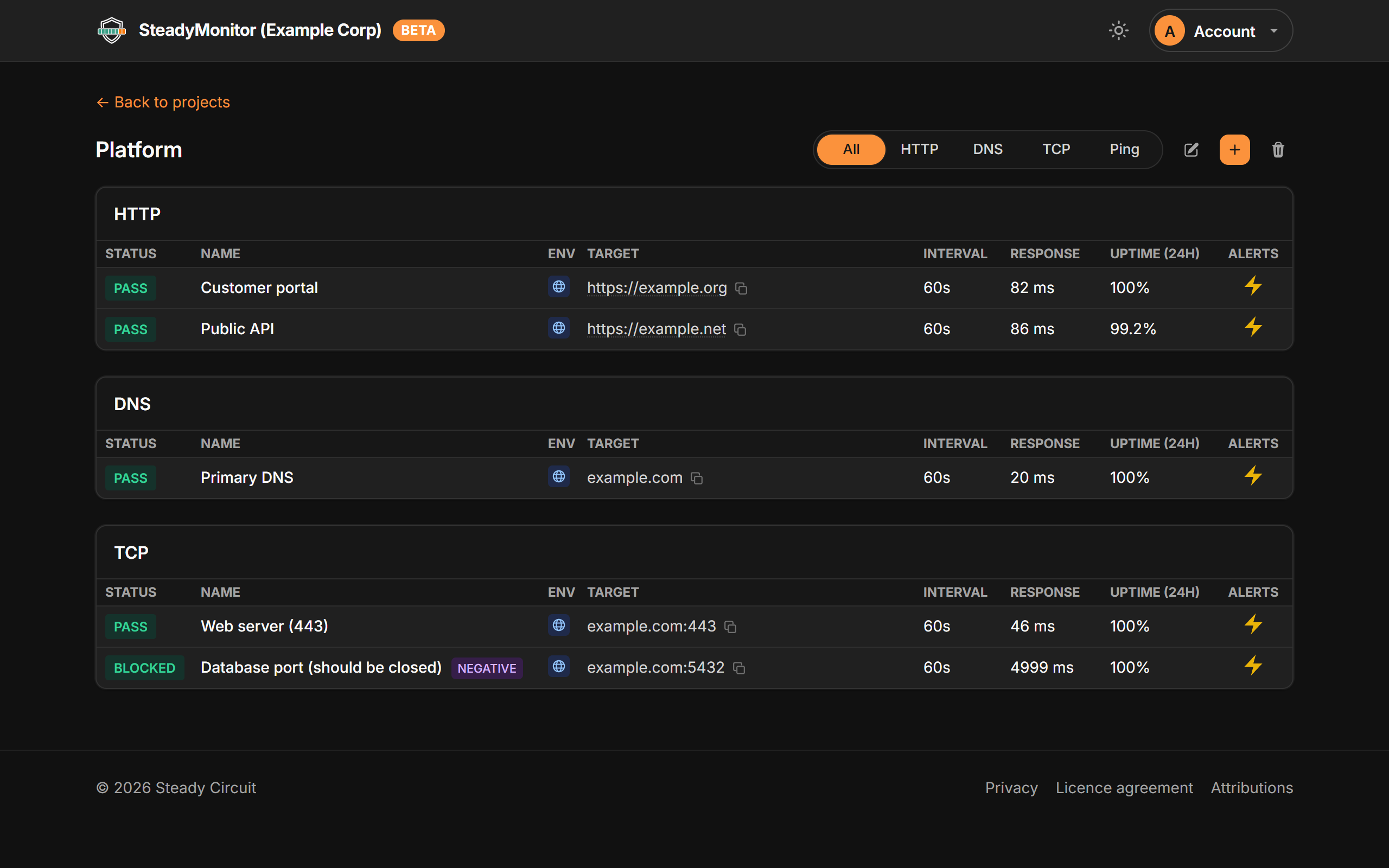 A project board grouped by check type: two HTTP checks, a DNS check and two TCP checks, one of them a negative check showing BLOCKED, each with its status, target, interval, response time and 24-hour uptime.