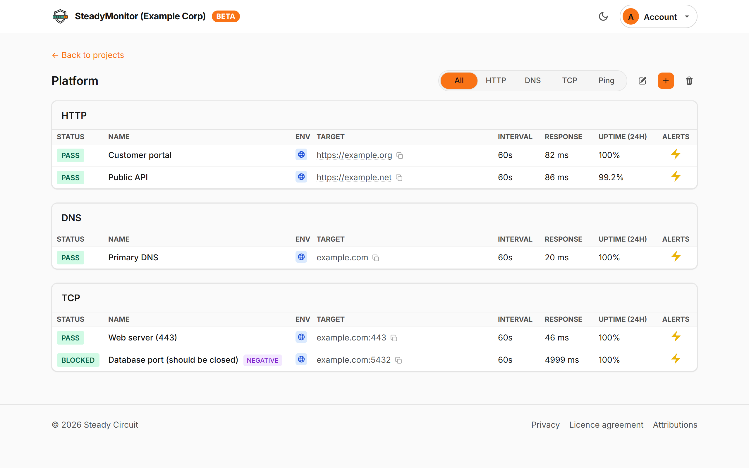 A project board grouped by check type: two HTTP checks, a DNS check and two TCP checks, one of them a negative check showing BLOCKED, each with its status, target, interval, response time and 24-hour uptime.